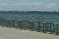 DSC02989